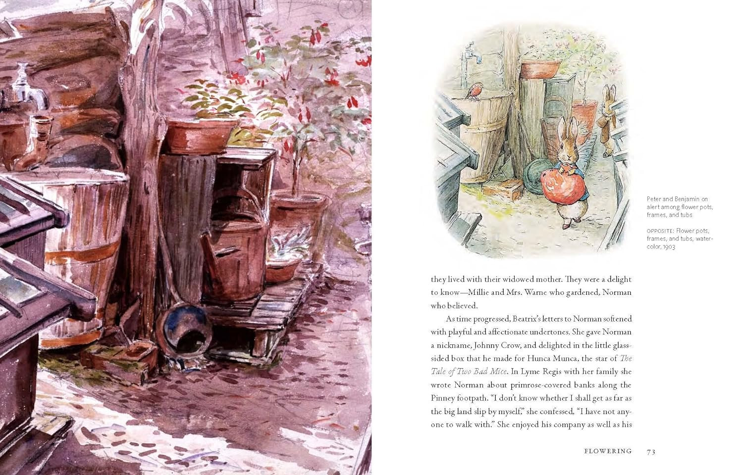 Beatrix Potter’s Gardening Life: The Plants and Places That Inspired the Classic