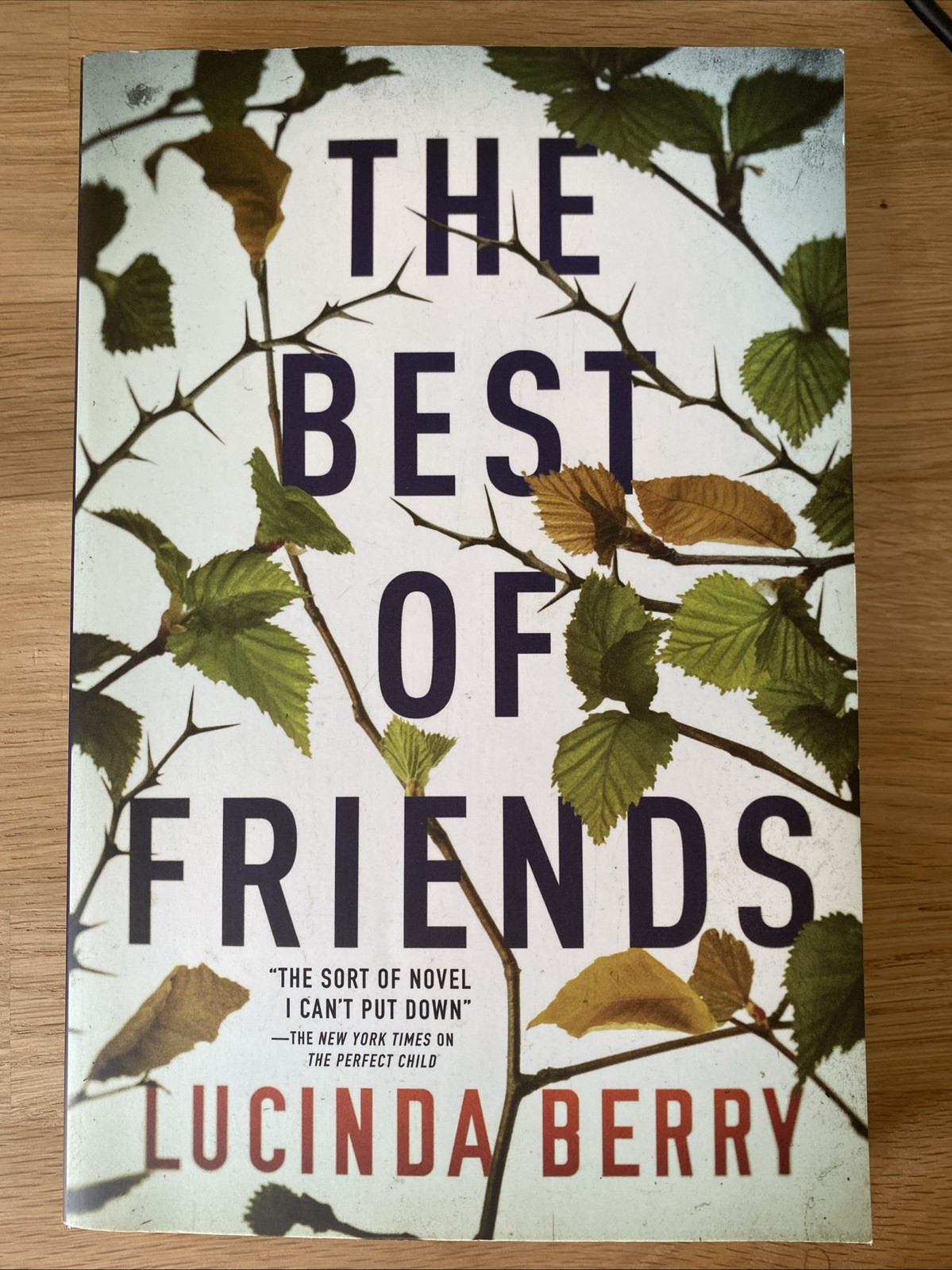Best of Friends by Lucinda Berry (2020, Trade Paperback)
