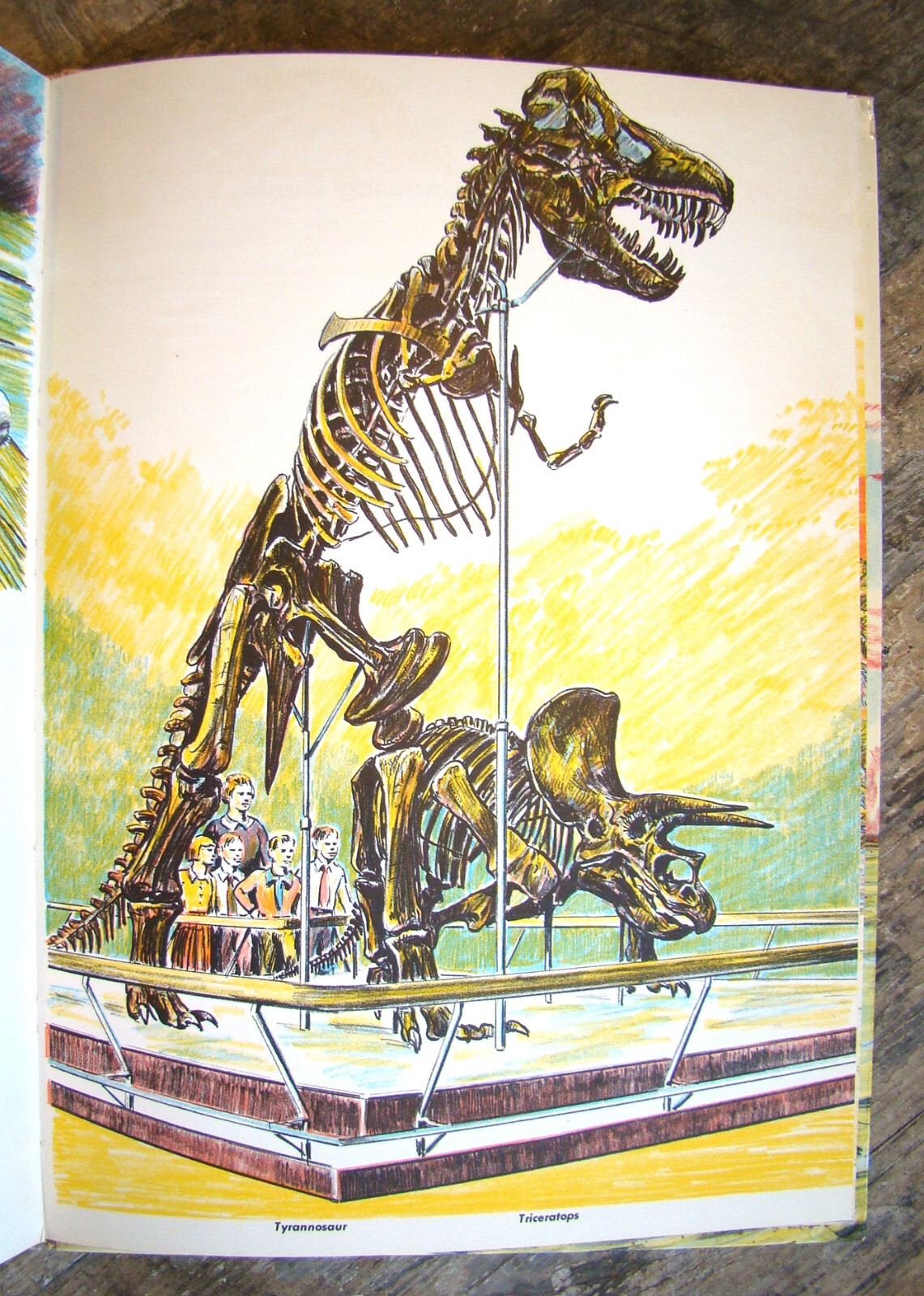 The Age Of Reptiles ~1958 HC~ Shuttlesworth Children’s Prehistoric Dinosaurs 🦖
