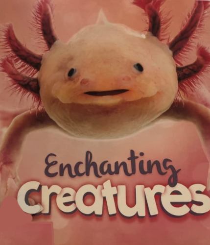 Enchanting Creatures by De La Bedoyere, Camilla