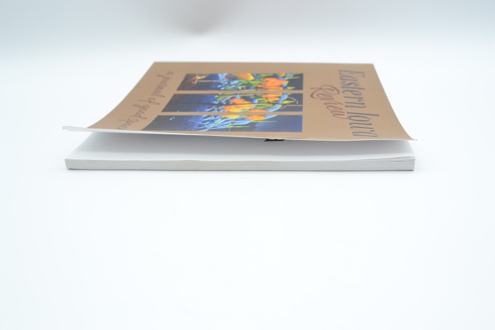 Eastern Iowa Review Issue 4, A Journal of Good Spaces, 2017, Short Fiction Debut