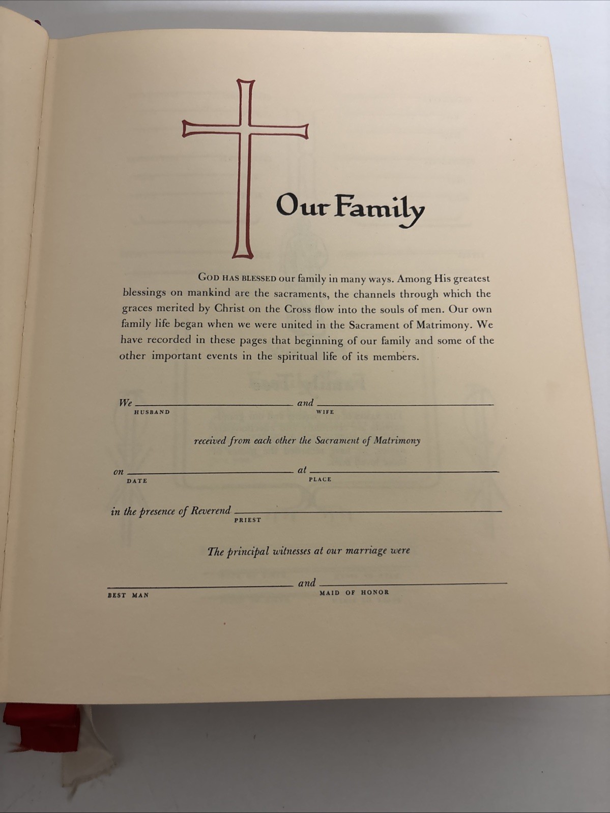 Holy Bible NAB Red. The New American Bible. Catholic Press World