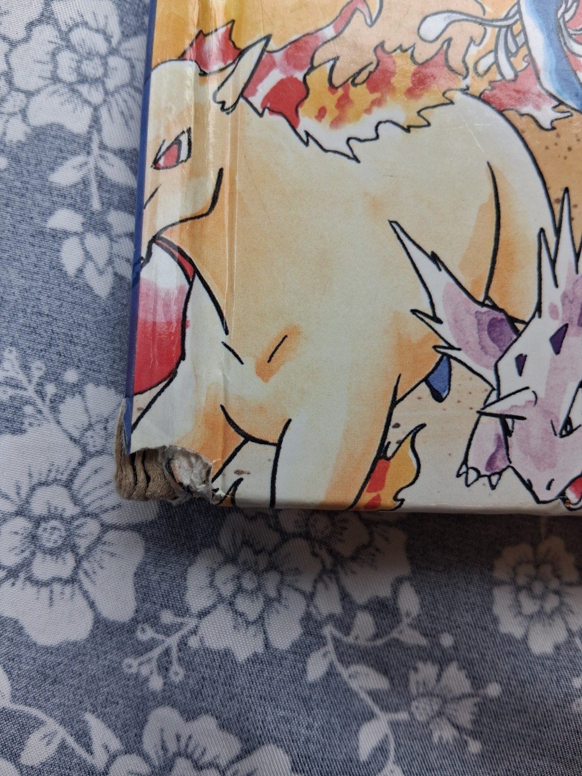 Pair of “Let’s Find Pokemon!” Hardcover GOLD & SILVER / SPECIAL COMPLETE EDITION