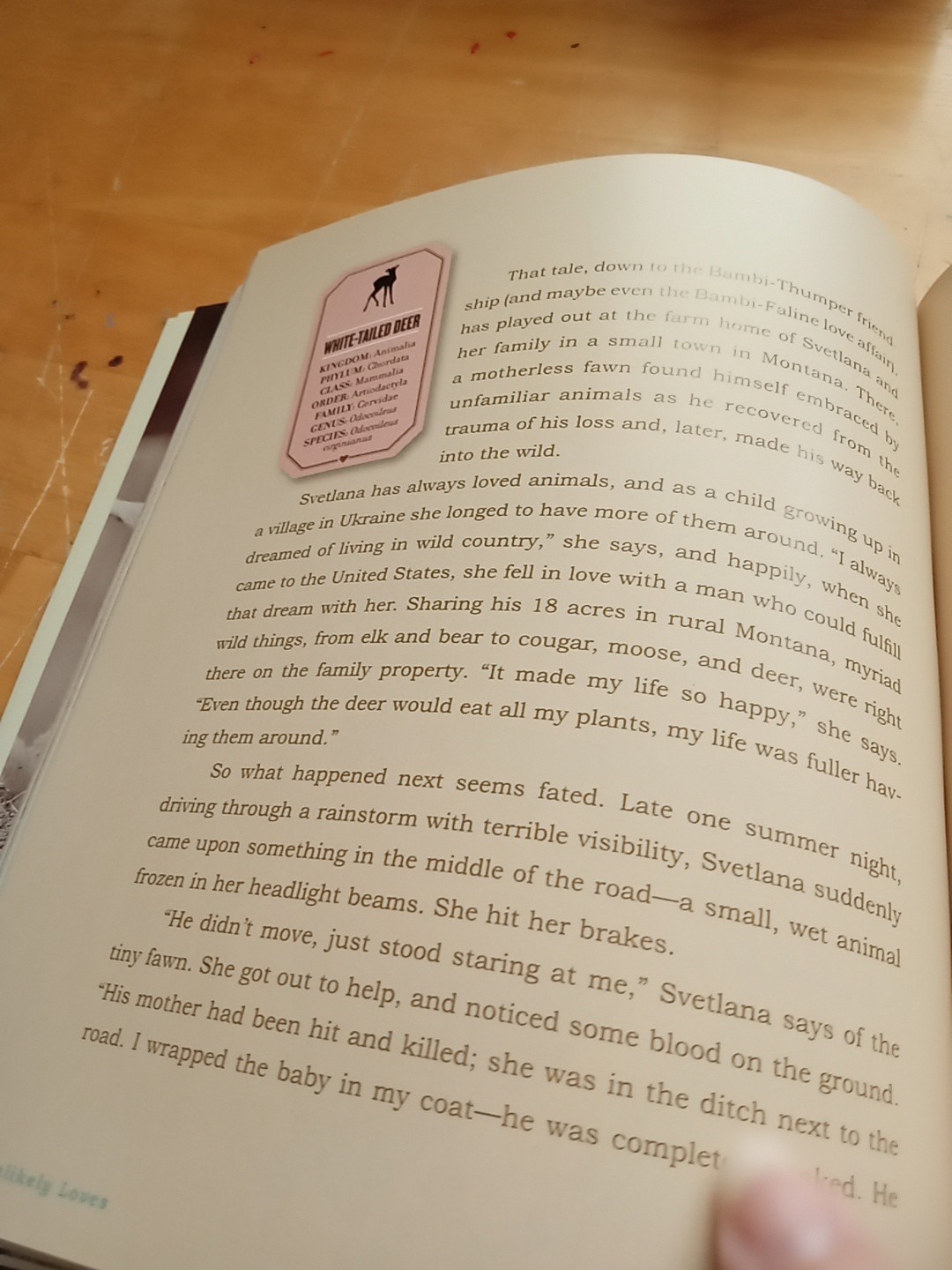 Unlikely Loves By Jennifer S. Holland (Paperback, 2013) 43 True Stories