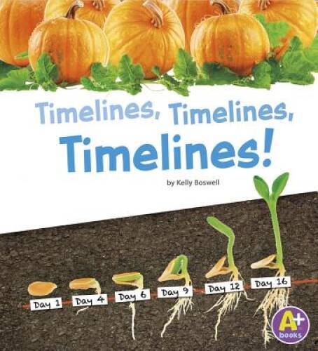 Timelines, Timelines, Timelines (Displaying Information) – Paperback – GOOD