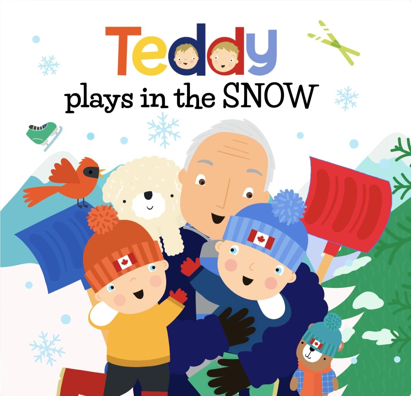 New Teddy Vol. 2 5-Book Illustrated Box Set Picture Books Ryan Cohen