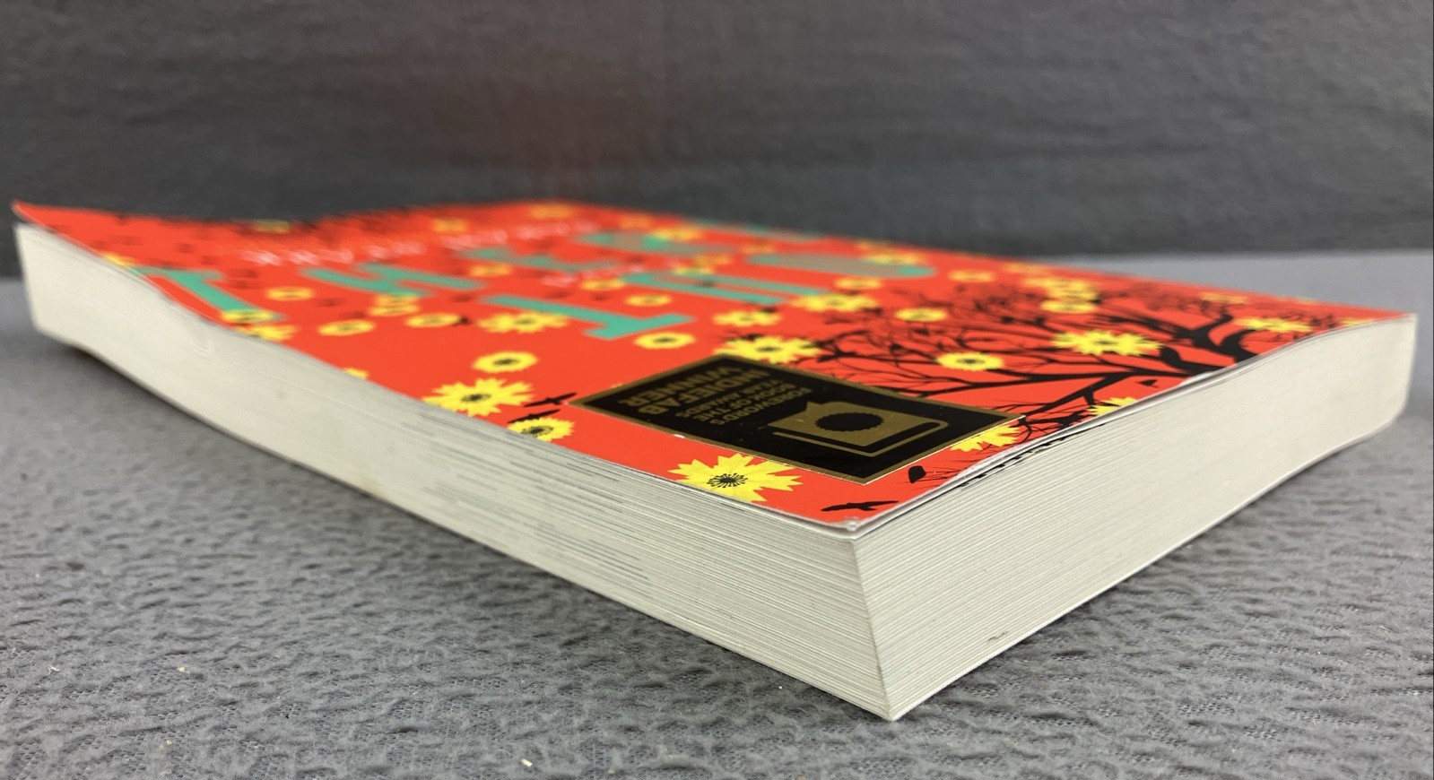 Out There: a Novel Book (2014, Paperback) Sarah Stark * SIGNED COPY