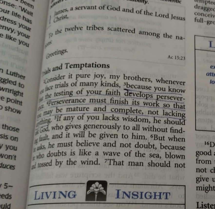The Living Insights Study Bible NIV Zondervan Bonded Leather 1996 Swindoll Navy