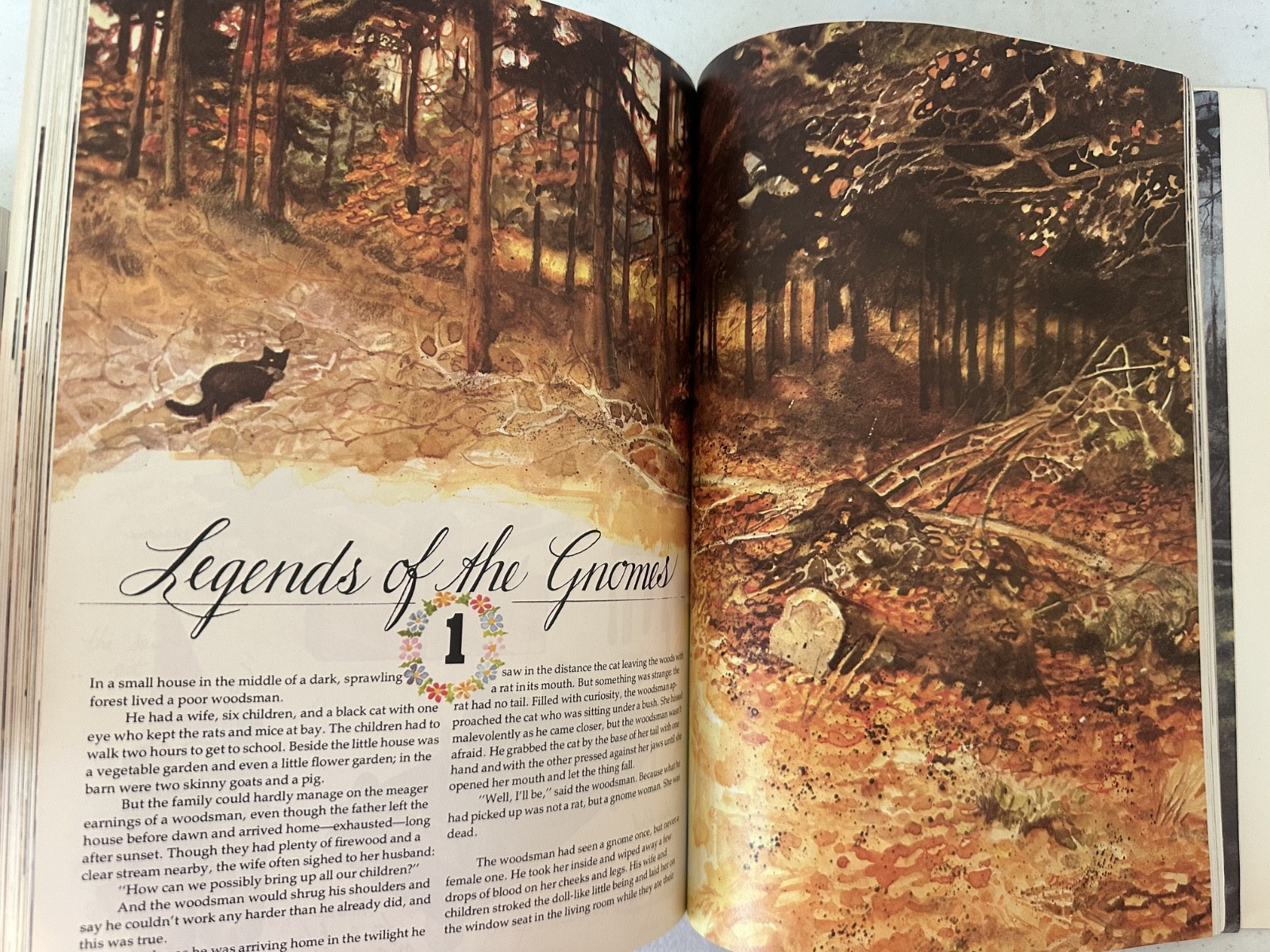 Gnomes Huygen Poortvliet 1979 1st PB printing art fairy fantasy VTG forest draw