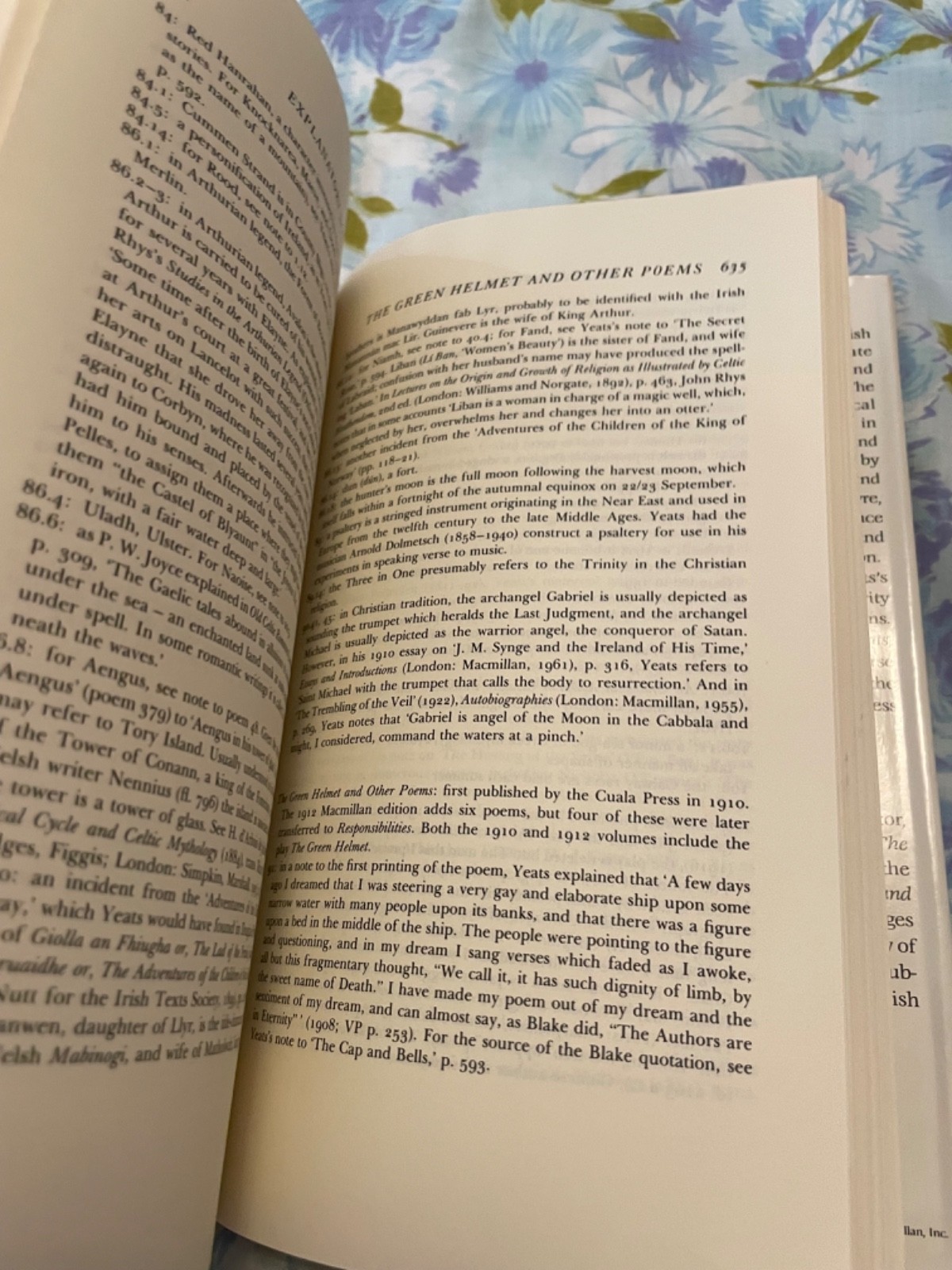 BOOK The Collected works of W B YEATS The Poems Volume 1 Revised Hardcover