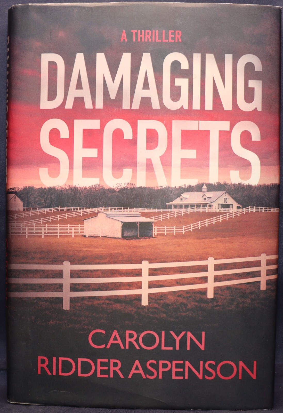 Damaging Secrets (Rachel Ryder) by Carolyn Ridder Aspenson 2021 9781648750427