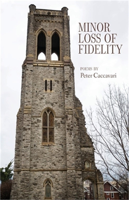 Minor Loss of Fidelity (Paperback or Softback)