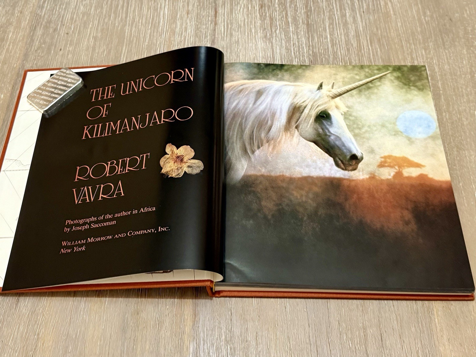 The Unicorn of Kilimanjaro by Robert Vavra 1988 HC / DJ