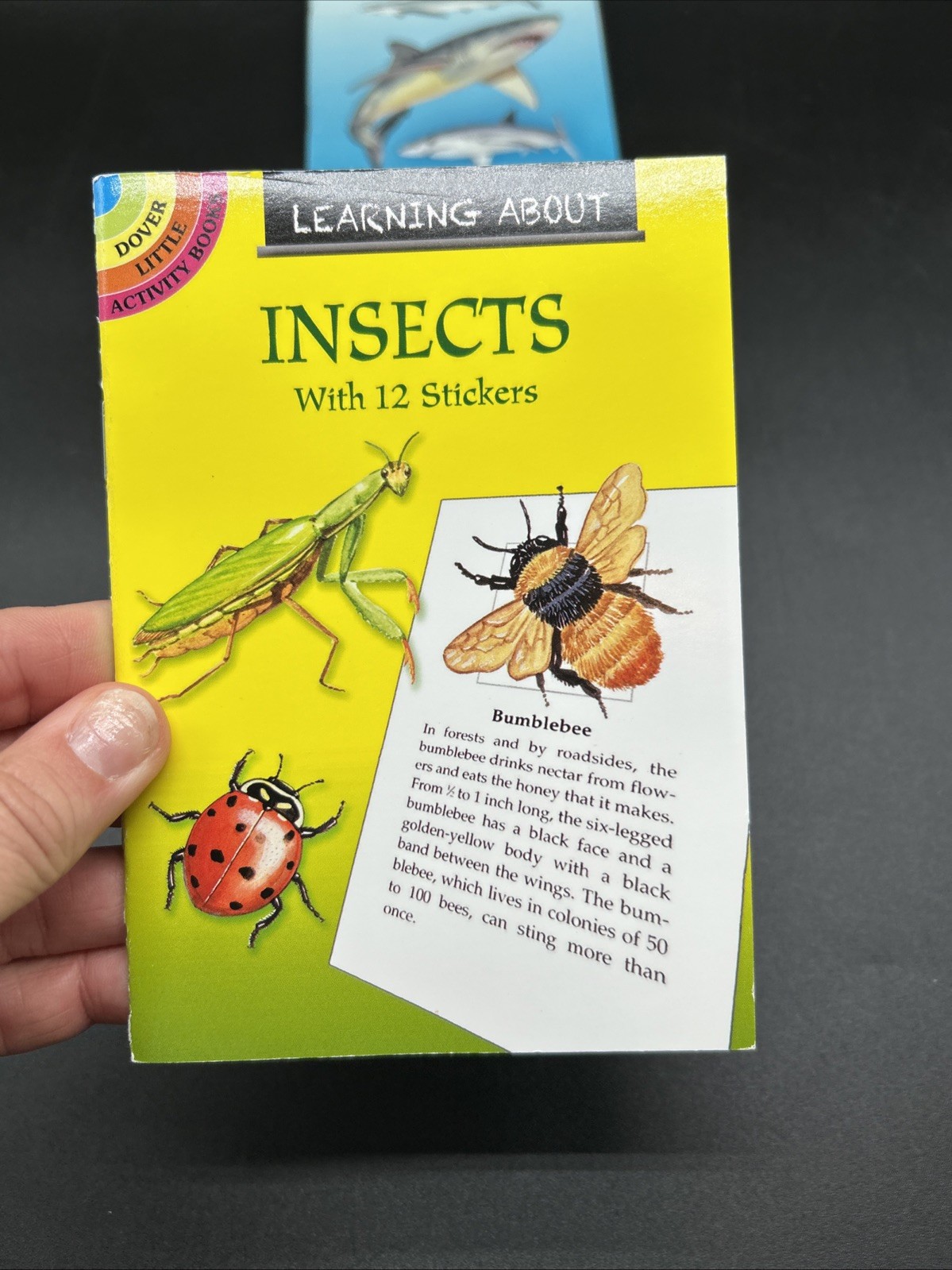 Educational Stickers Lot Dover Little Activity Books Dinosaurs Planets Insects +