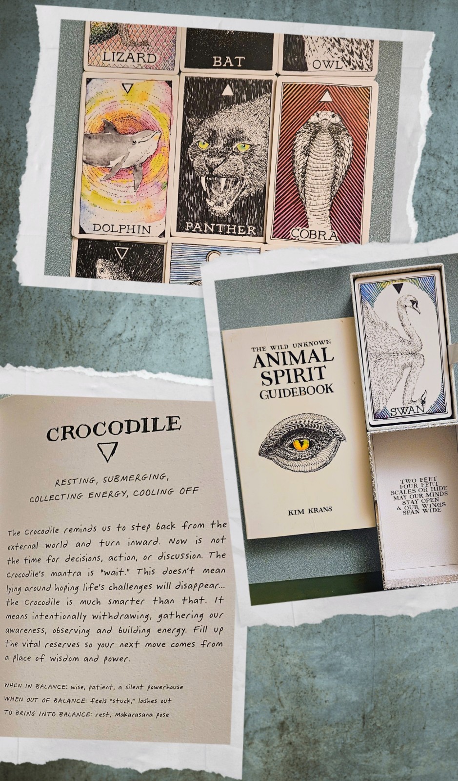The Wild Unknown Animal Spirit Deck and Guidebook by Kim Krans