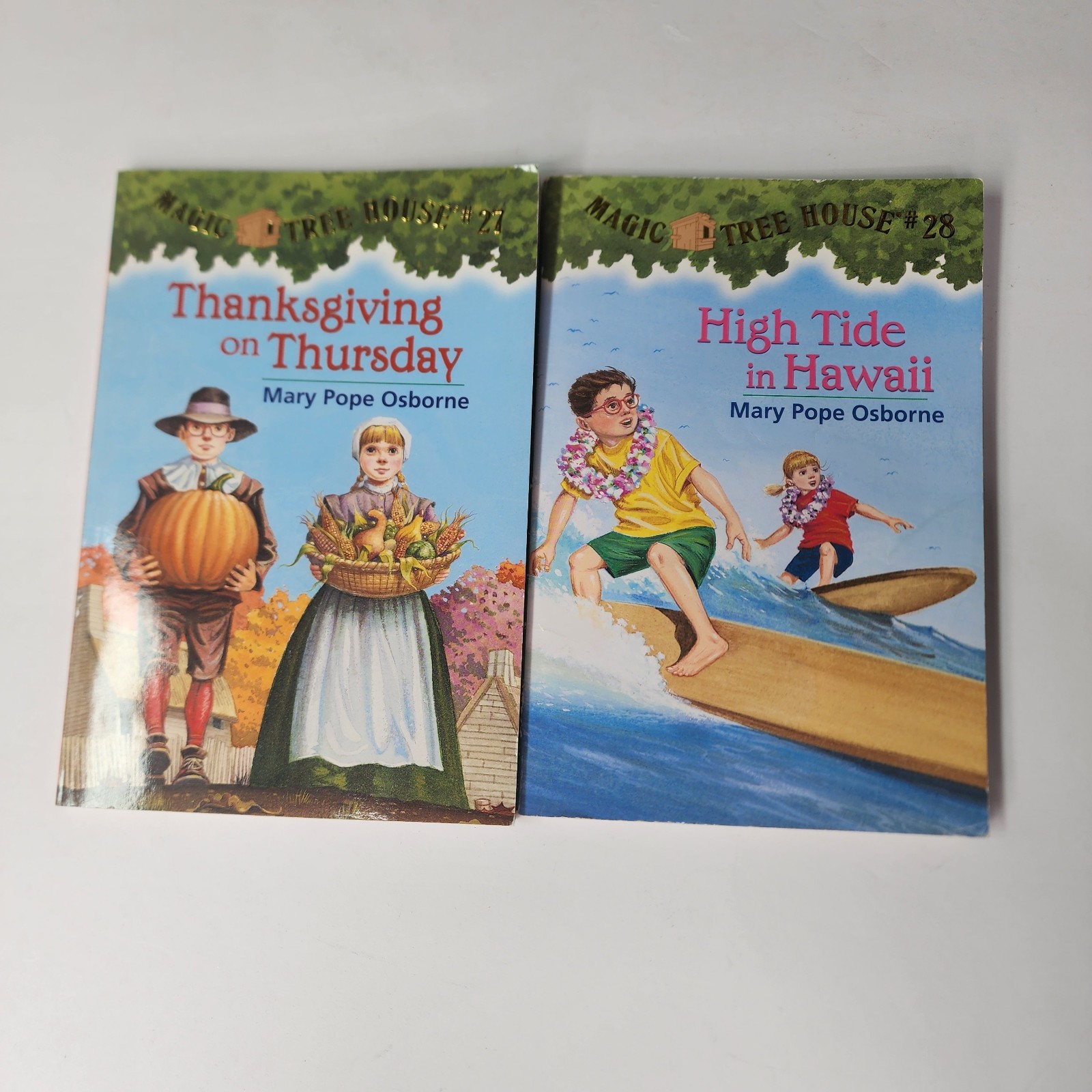 Magic Tree House Book Lot Mary Pope Osborne 20+ Books Kids Chapter Series