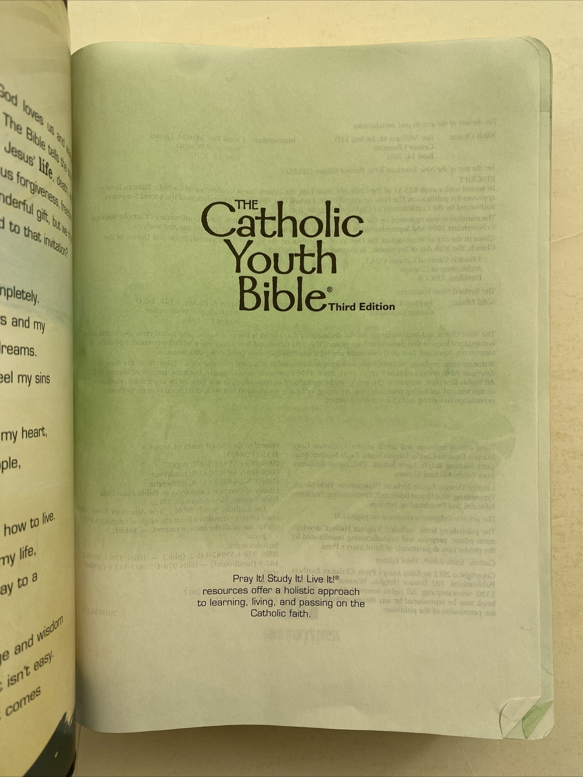 The Catholic Youth Bible Leatherette 3rd Edition St Mary’s Press 2012