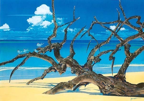 Hiroo Isono Art Book “Emerald Dream” A4 208 Pages 280 Full Color Illustrations