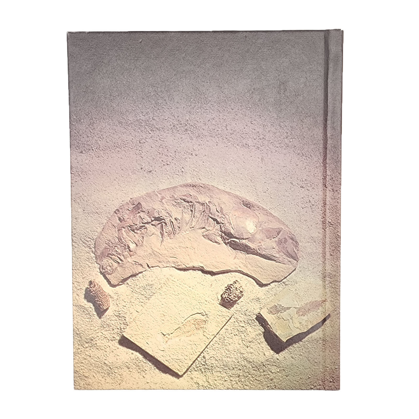 Fossils John Burton Hardcover Book Illustrated John Barber Grosset & Dunlap 1976
