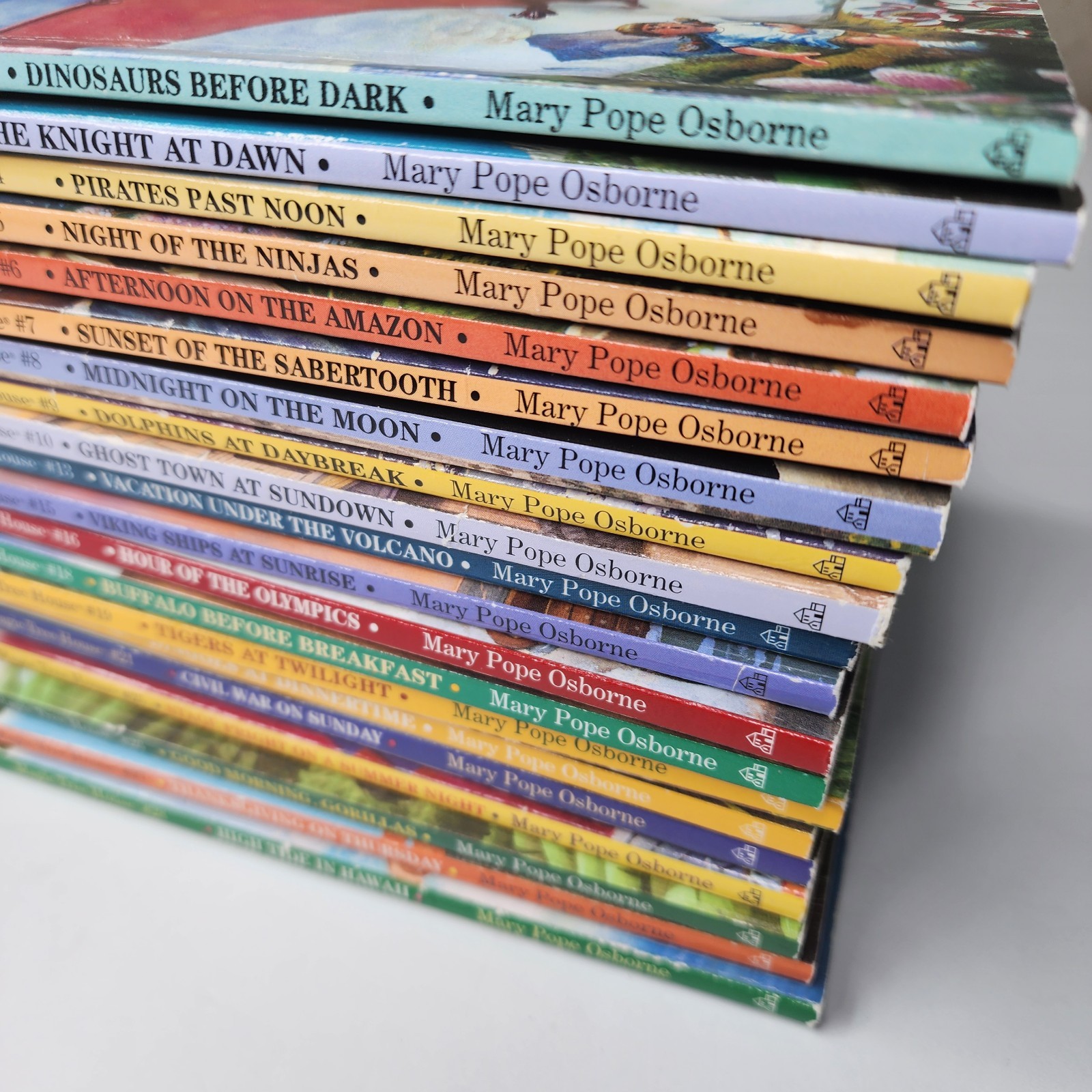 Magic Tree House Book Lot Mary Pope Osborne 20+ Books Kids Chapter Series