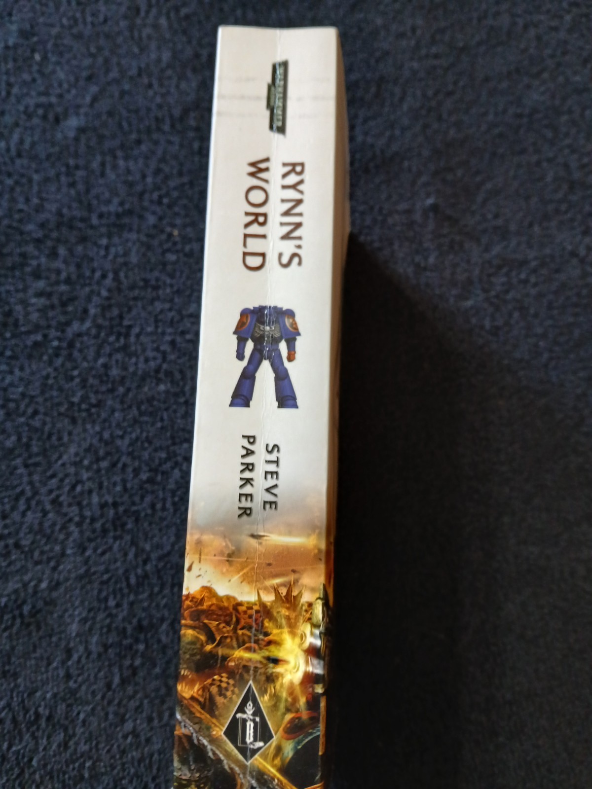 Rynn’s World by Steve Parker (2010, Trade Paperback)