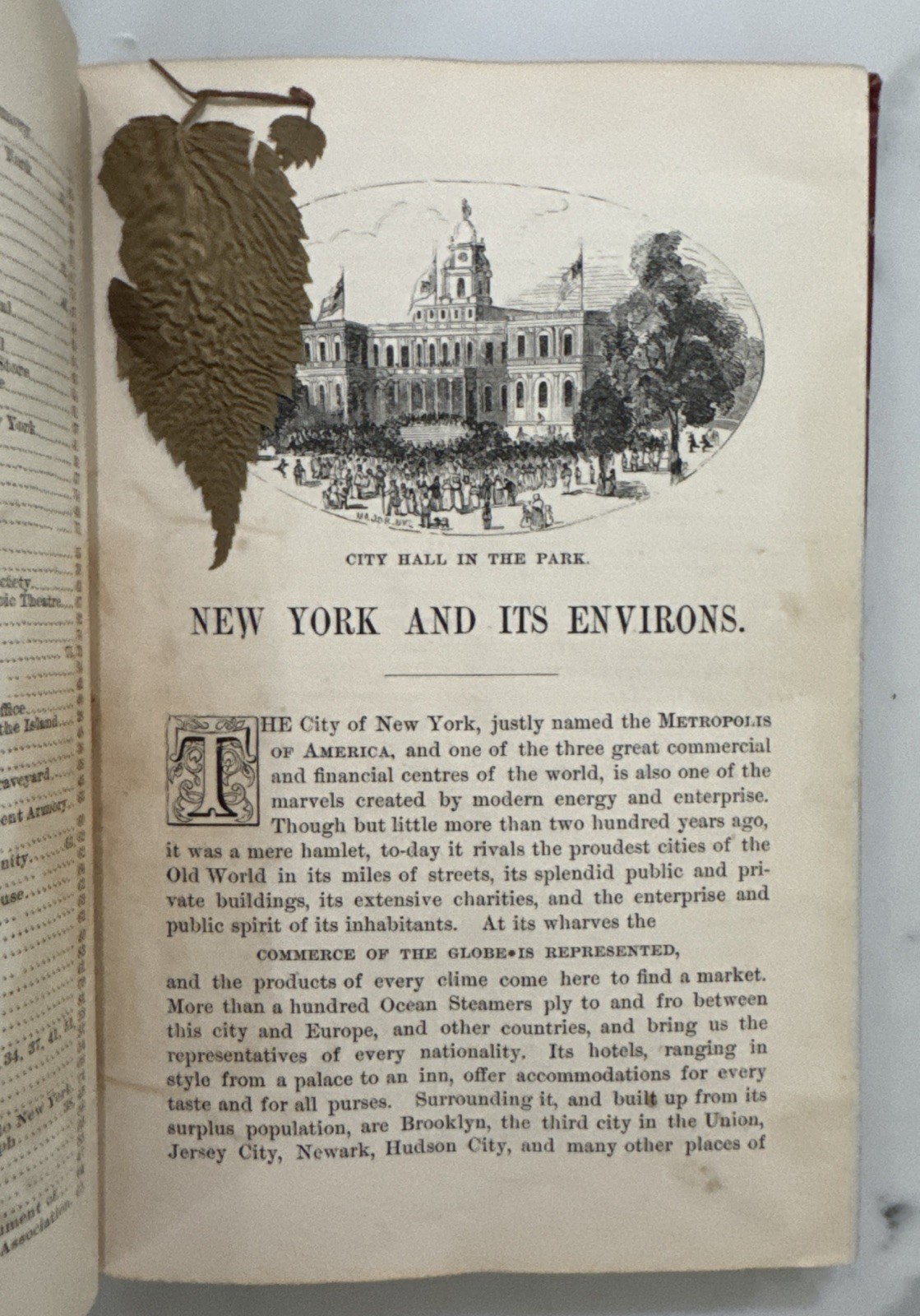 History of and How to See New York and Its Environs by Robert Macoy (HC, 1876)