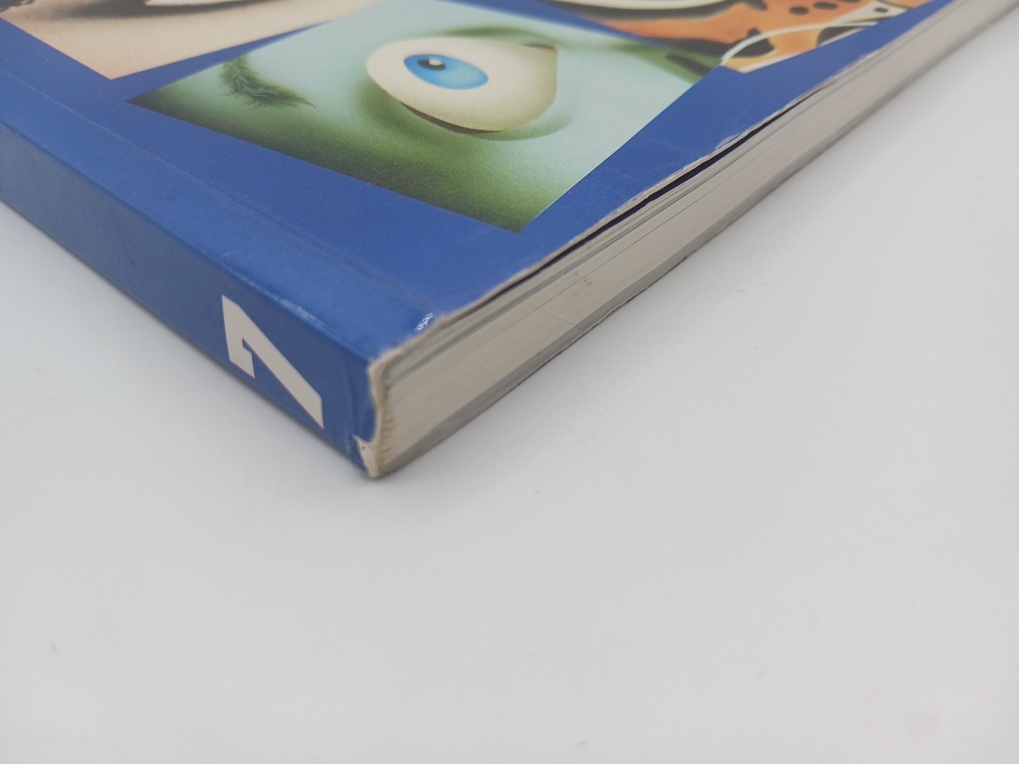 American Showcase Volume 7 Illustration SC – 1984 – 900+ images & drawings