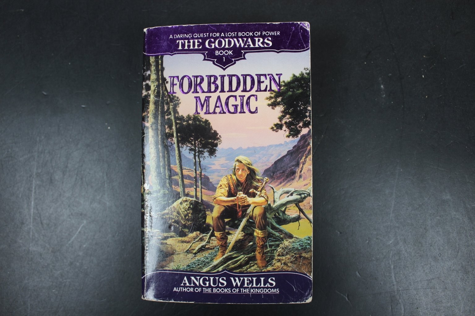 Forbidden Magic Angus Wells 1992 The Godwars Book 1 Epic Fantasy Bantam Spectra