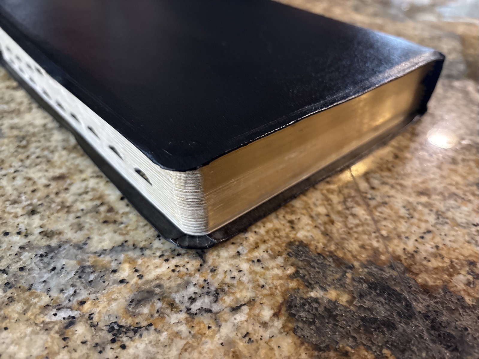 God’s Word for Students Study Bible Black Bonded Leather Wayne Rice General Ed