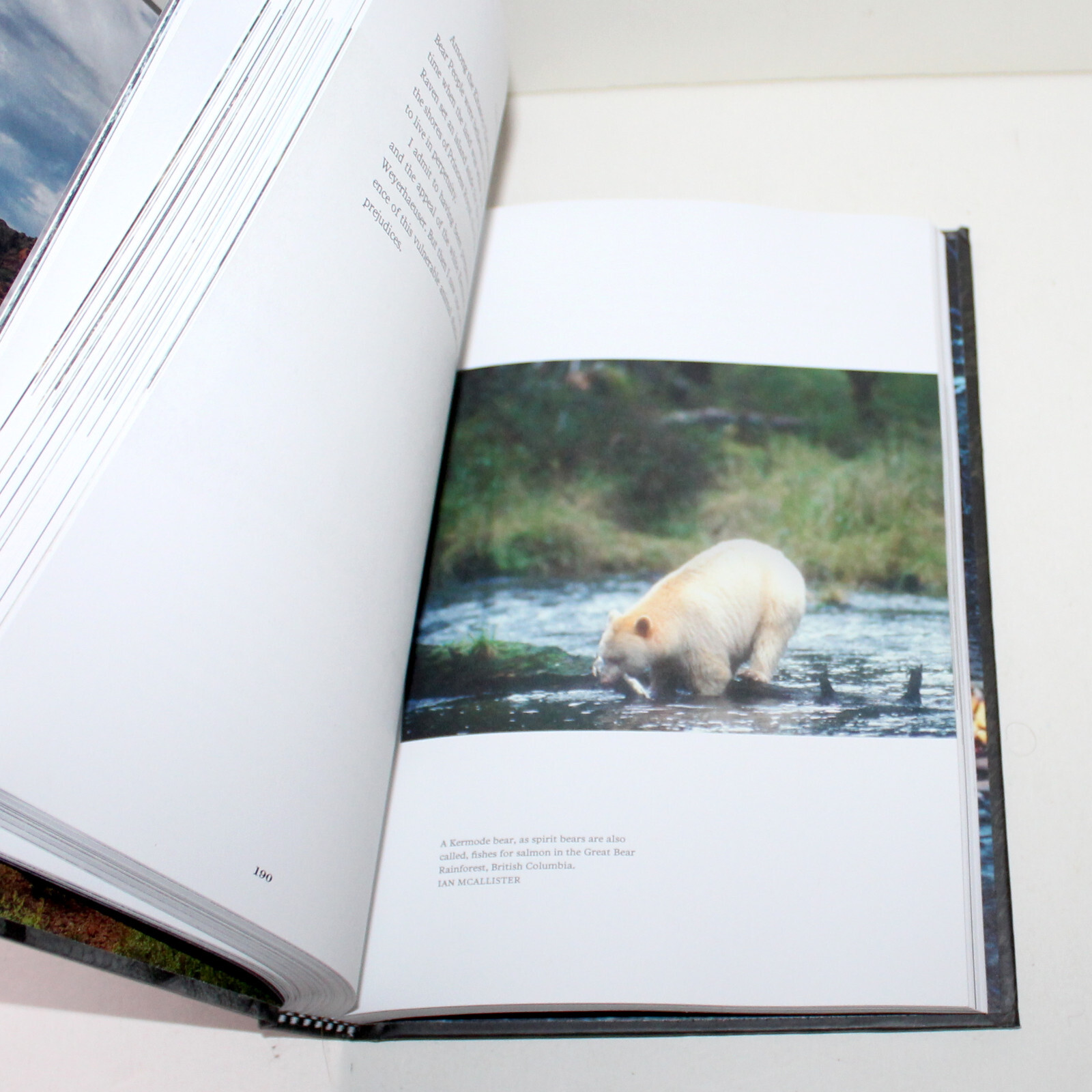 Was It Worth It? Doug Peacock 2022 Patagonia 1st Ed memoir wilderness nature