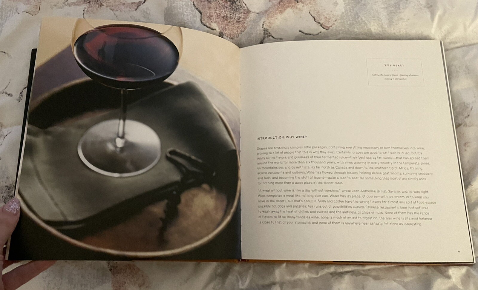 The Perfect Match: Pairing Delicious Recipes with Great Wine by St Pierre, Brian