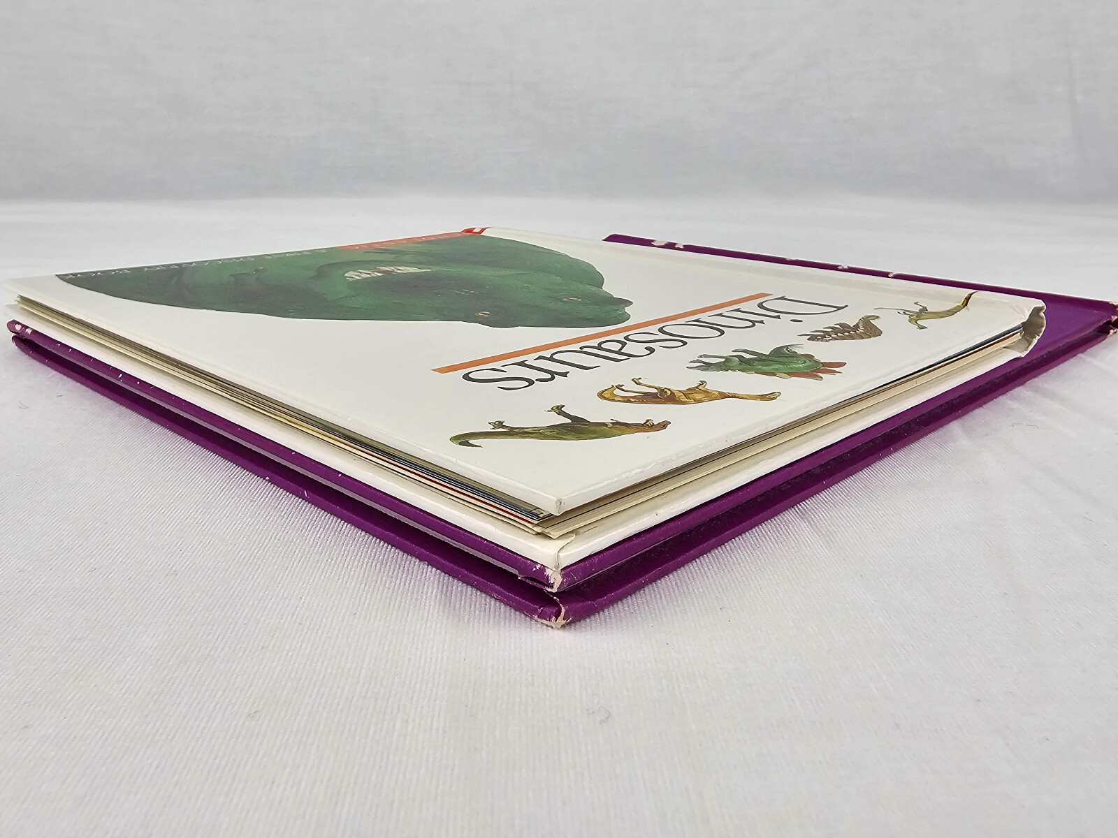 Dinosaurs A First Discovery Book & If The Dinosaurs Came Back by Bernard Most