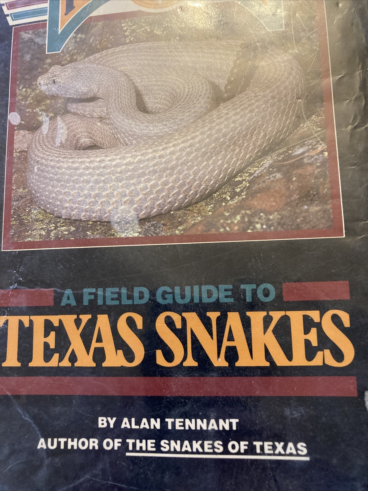 A Field Guide to Texas Snakes book by Alan Tennant Texas Monthly