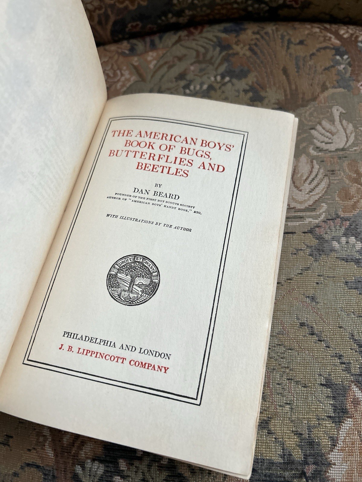 American Boys Book of Bugs Butterflies and Beetles Dan Beard 1932 Scarce