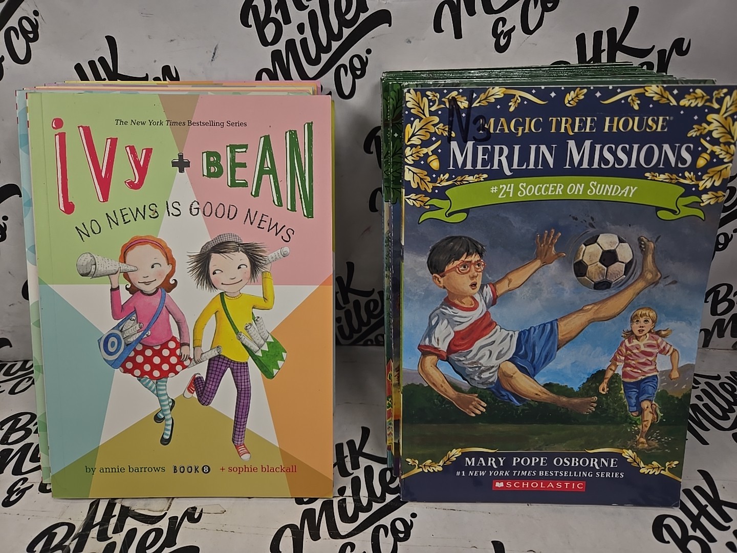 Magic Tree House & Ivy & Bean Chapter Book Lot of 22 Early Reader Books Ages 6-9