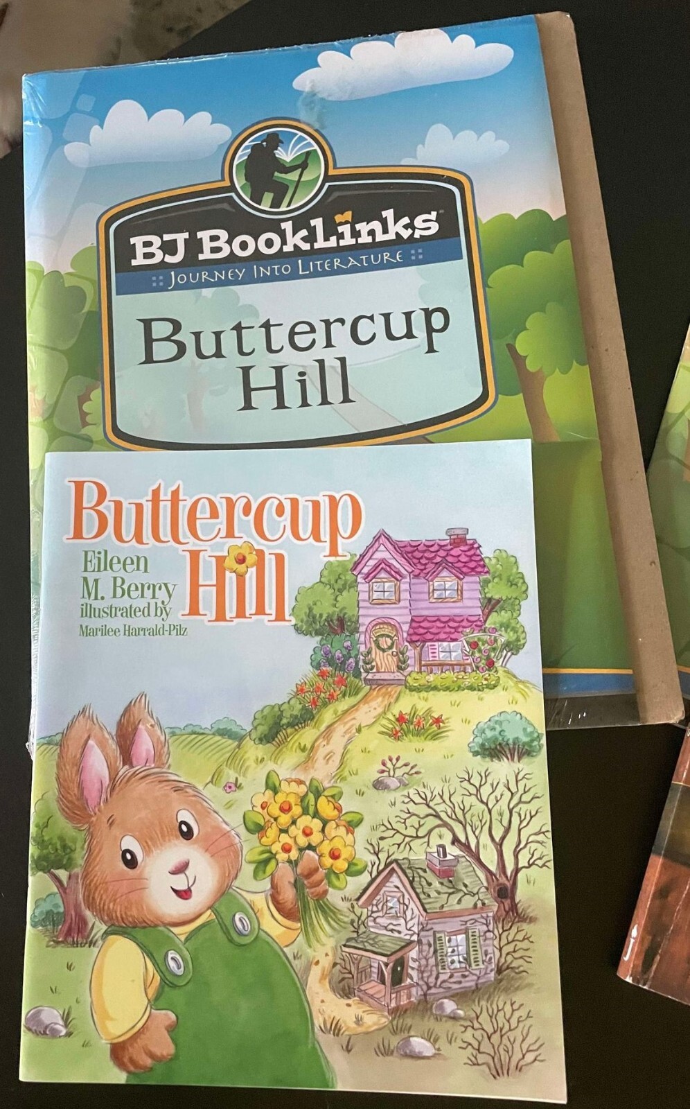Bob Jones Booklinks Journey Into Literature Set