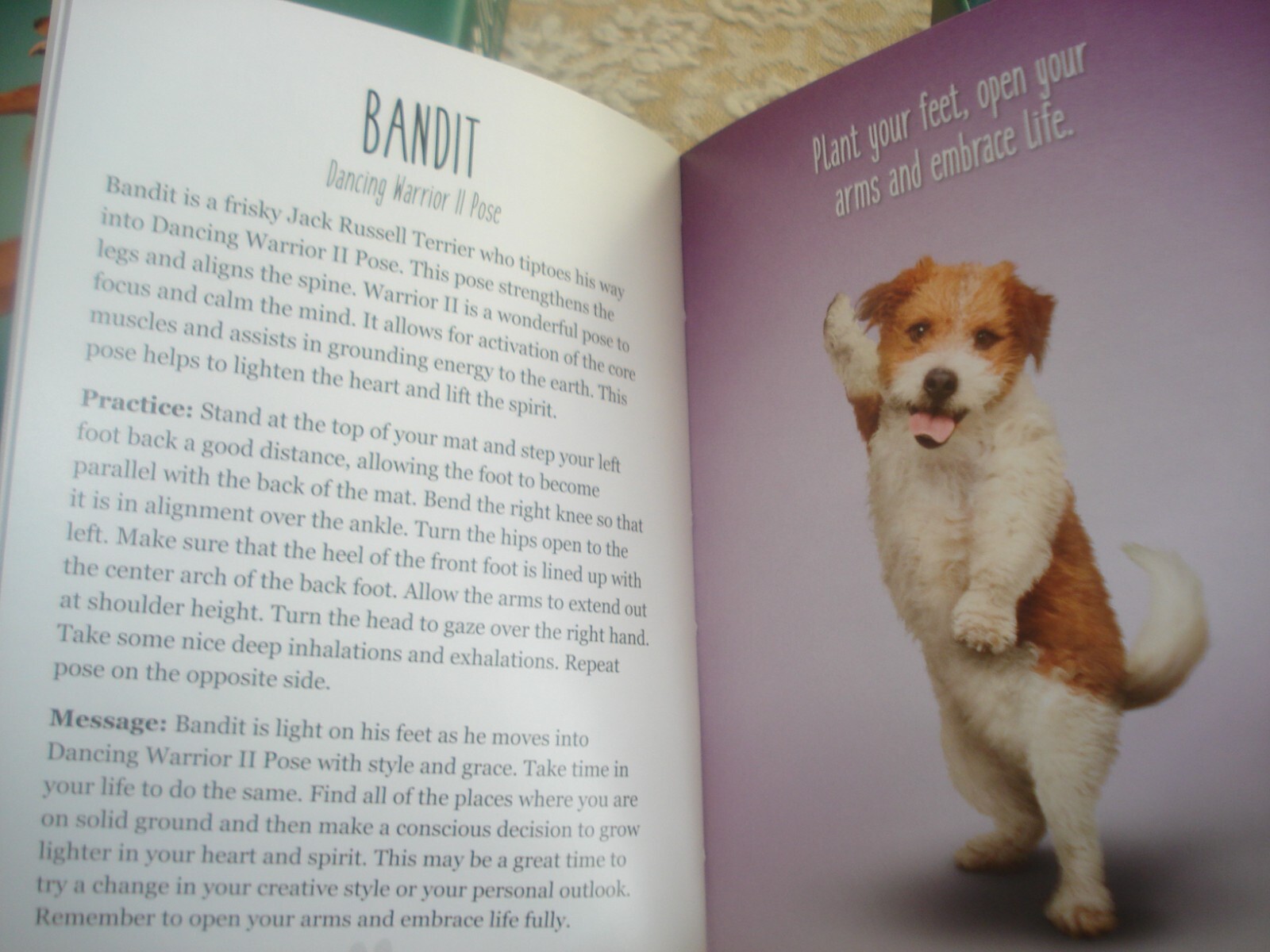 YOGA DOGS Book & Card Set Written by Alison DeNicola 96 pages 44 Cards 2017