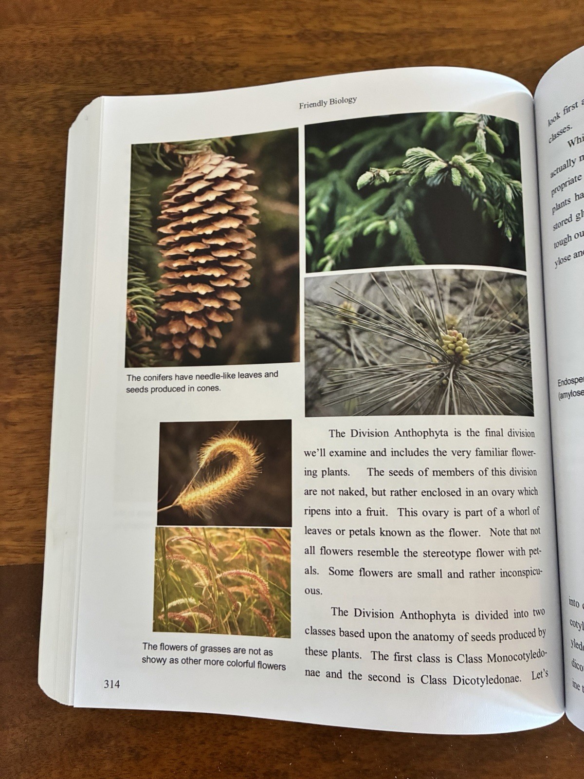 Friendly Biology (Christian Worldview Version) Joey Lisa Hadja PB Textbook