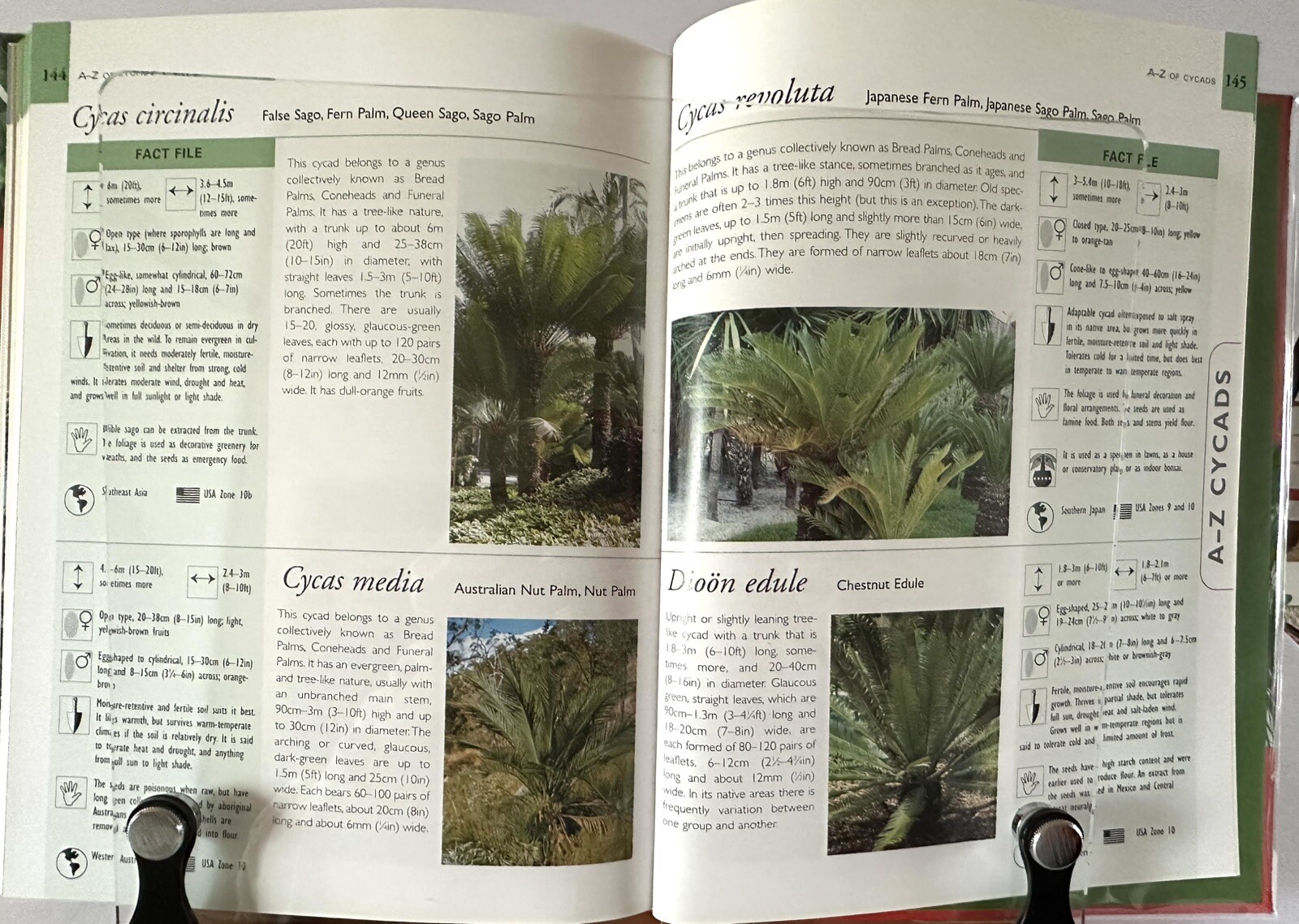 Palms And Cycads: A Guide To Selecting, Growing & Propagating David Squire New