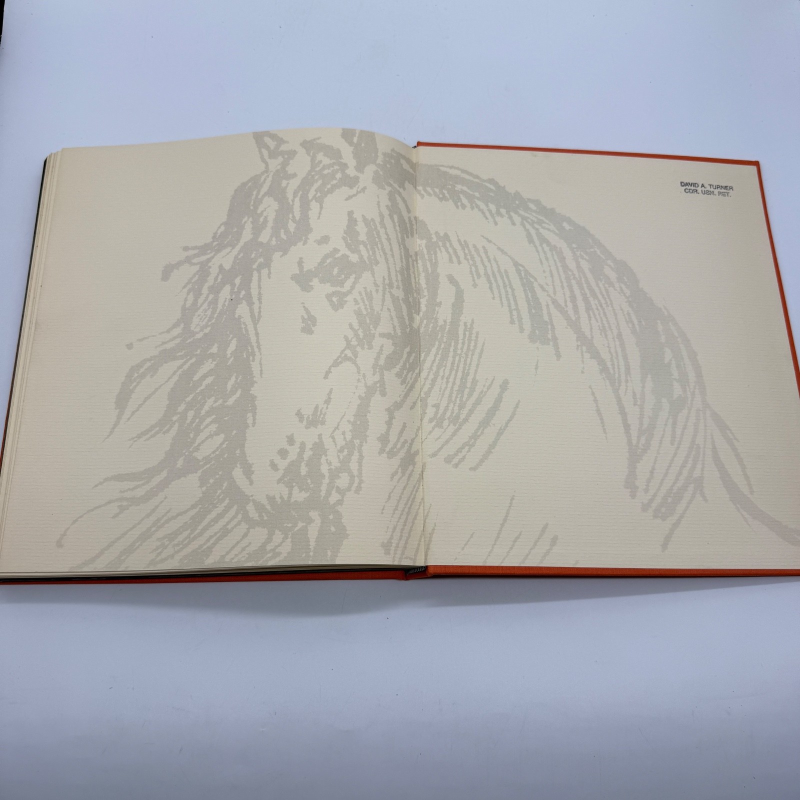 1977 Equus The Creation of a Horse Robert Vavra SIGNED 1st Edt Slip Case #187
