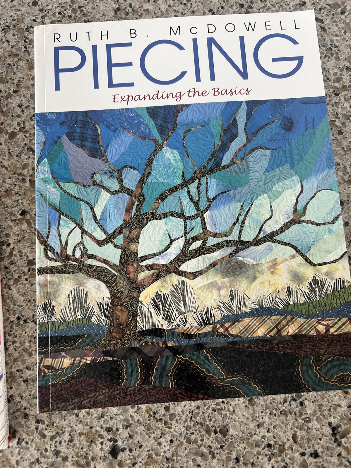 Quilt Book Lot Of 2 – Patchwork Persuasion Wolfron Piecing McDowell