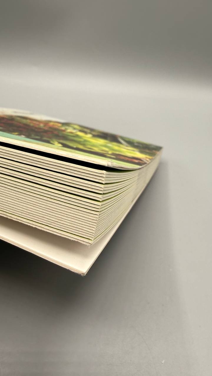 Container Inspiration Postcard Book 25 Garden Design Cards David McDonald Wells