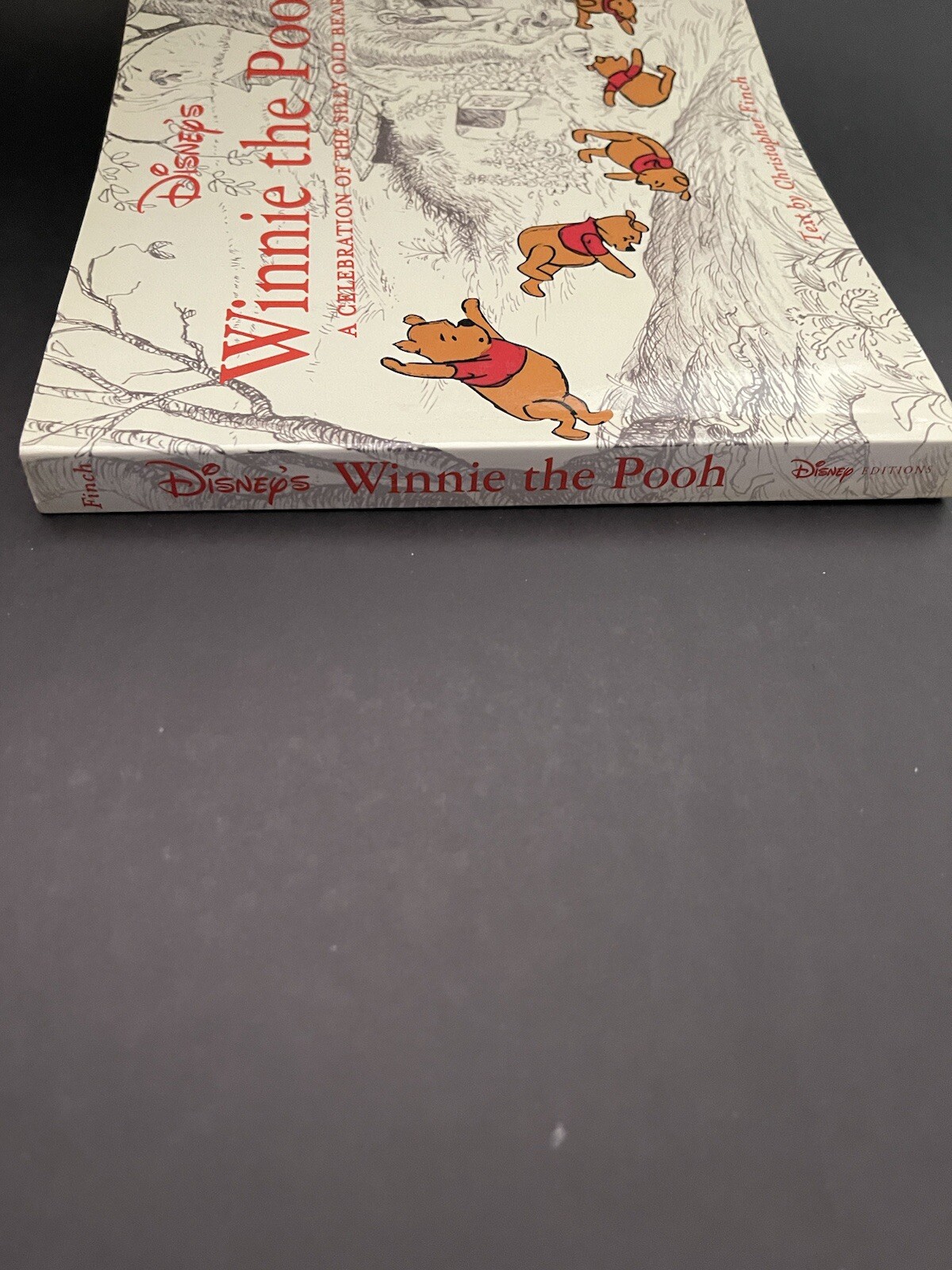 Disney’s Winnie the Pooh A Celebration of the Silly Old Bear -2002