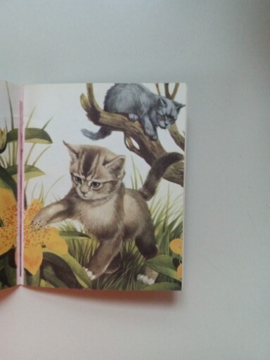 SCIMITAR NP Cats By Jill Hughes 1981 Paperback