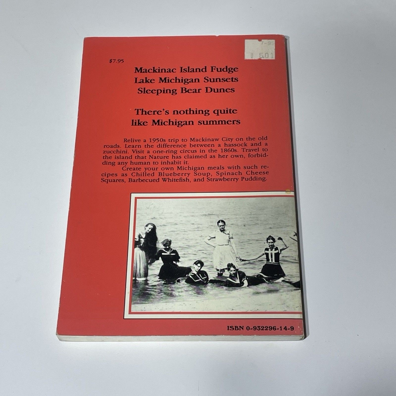 1990 Vintage Michigan Summers : Tales and Recipes by Carole Eberly