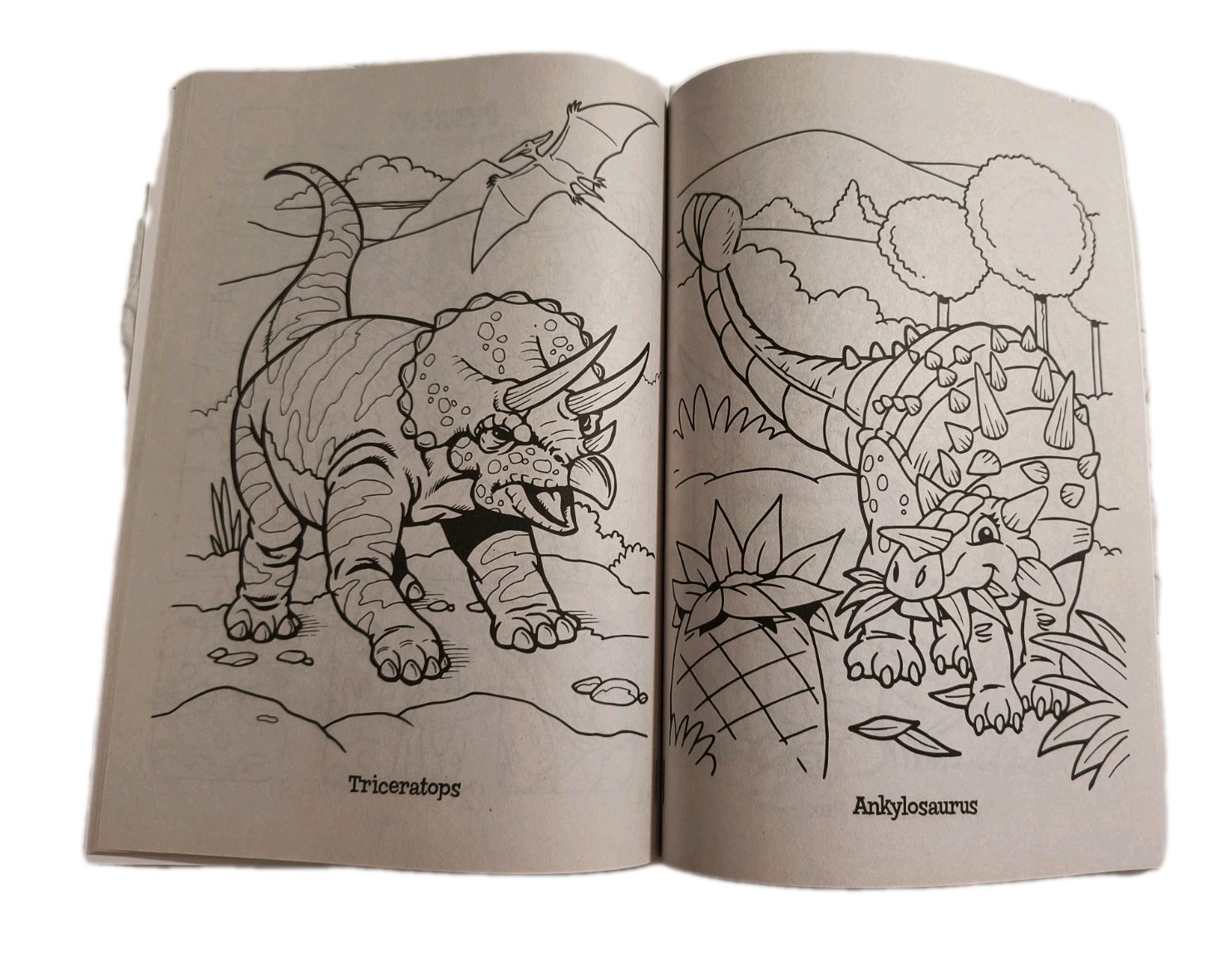 DINO RRAWRR! Dinosaurs Coloring/Activity Book with Tear/Share Pages 🆕🆓 ship!