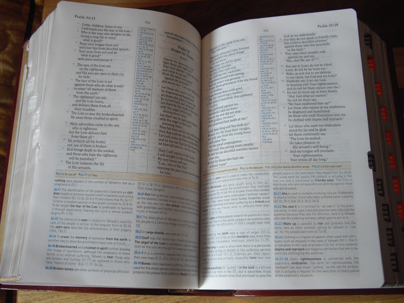 Brown Simulated Leather (LeatherTouch) HCSB Study Bible Personal Size CSB