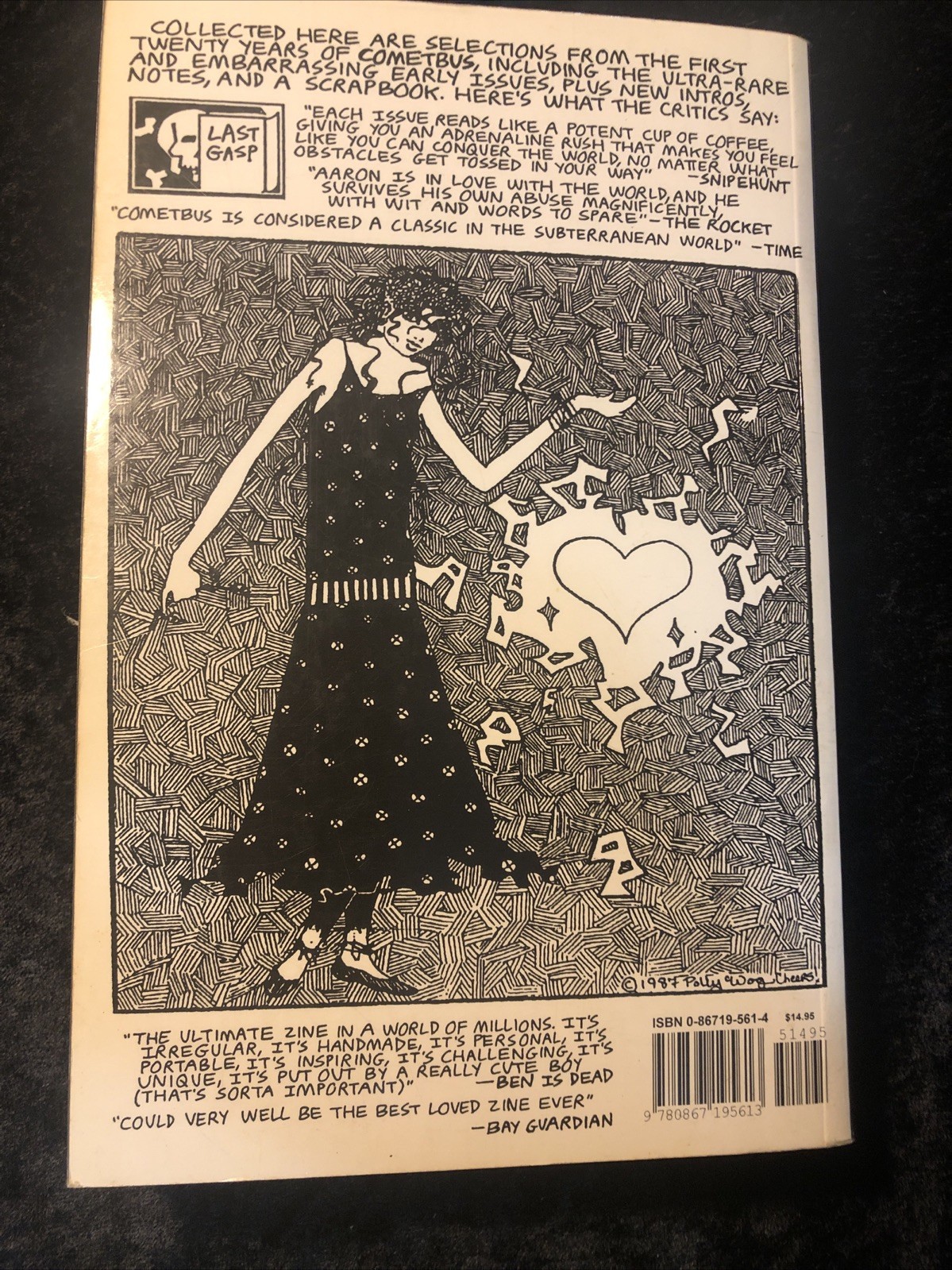 Despite Everything Cometbus Omnibus Fanzine Anthology