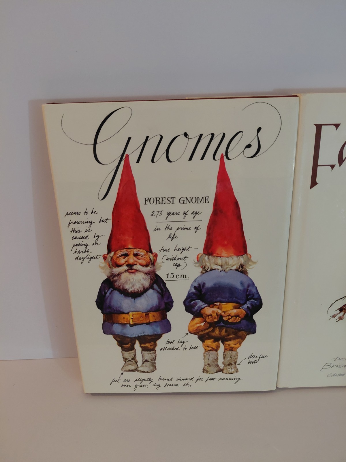 FAERIES Brian Froud Hardcover 1978 & 1979 Gnomes Huygen Illustrated Book Lot