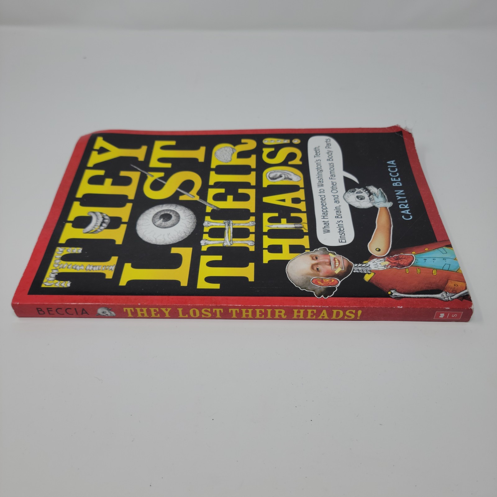 THEY LOST THEIR HEADS Book Carlyn Beccia 2018 Scholastic Paperback